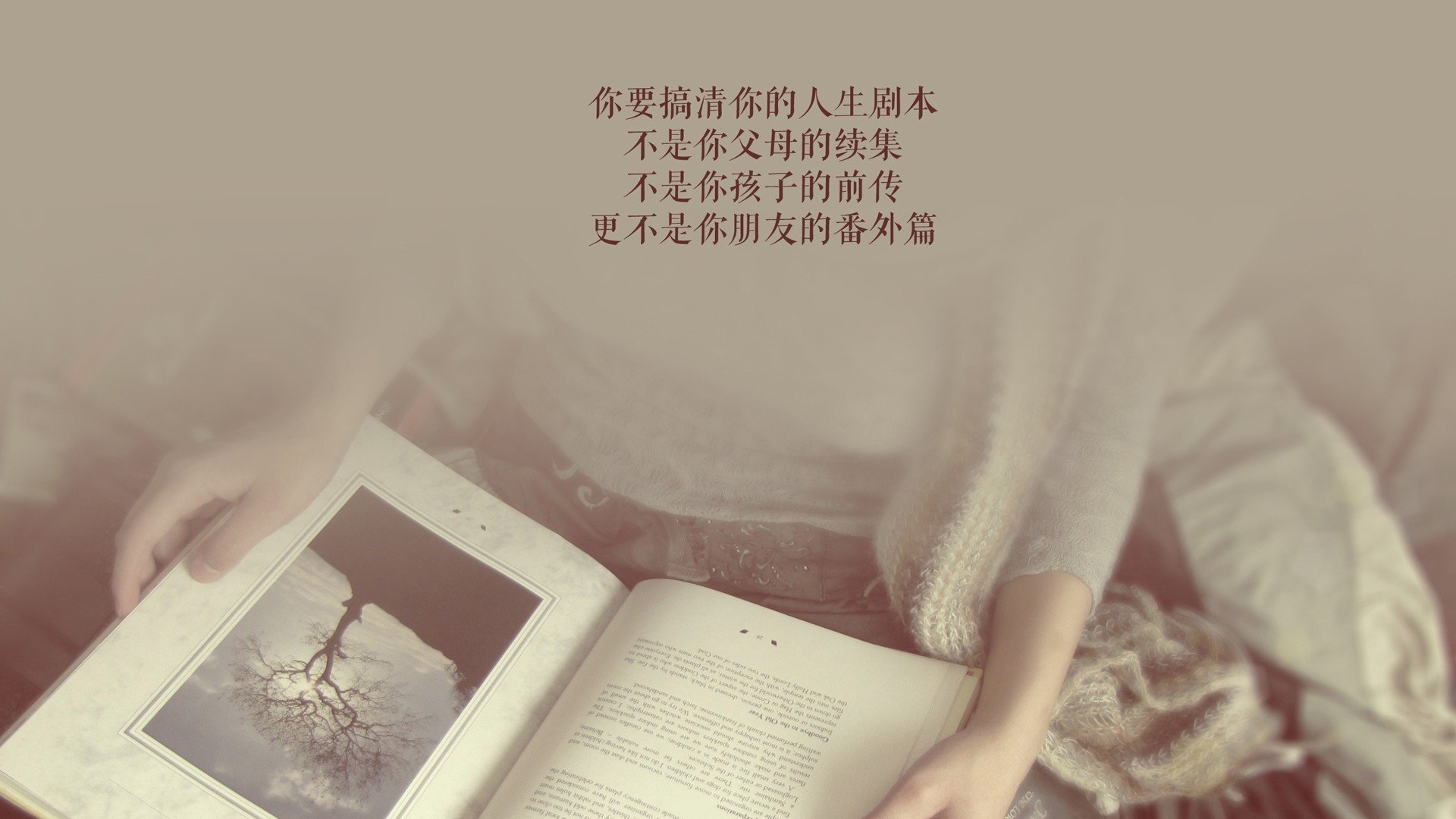 印度在射击、田径、摔跤、拳击等项目中表现出色，奖牌数显著增长。