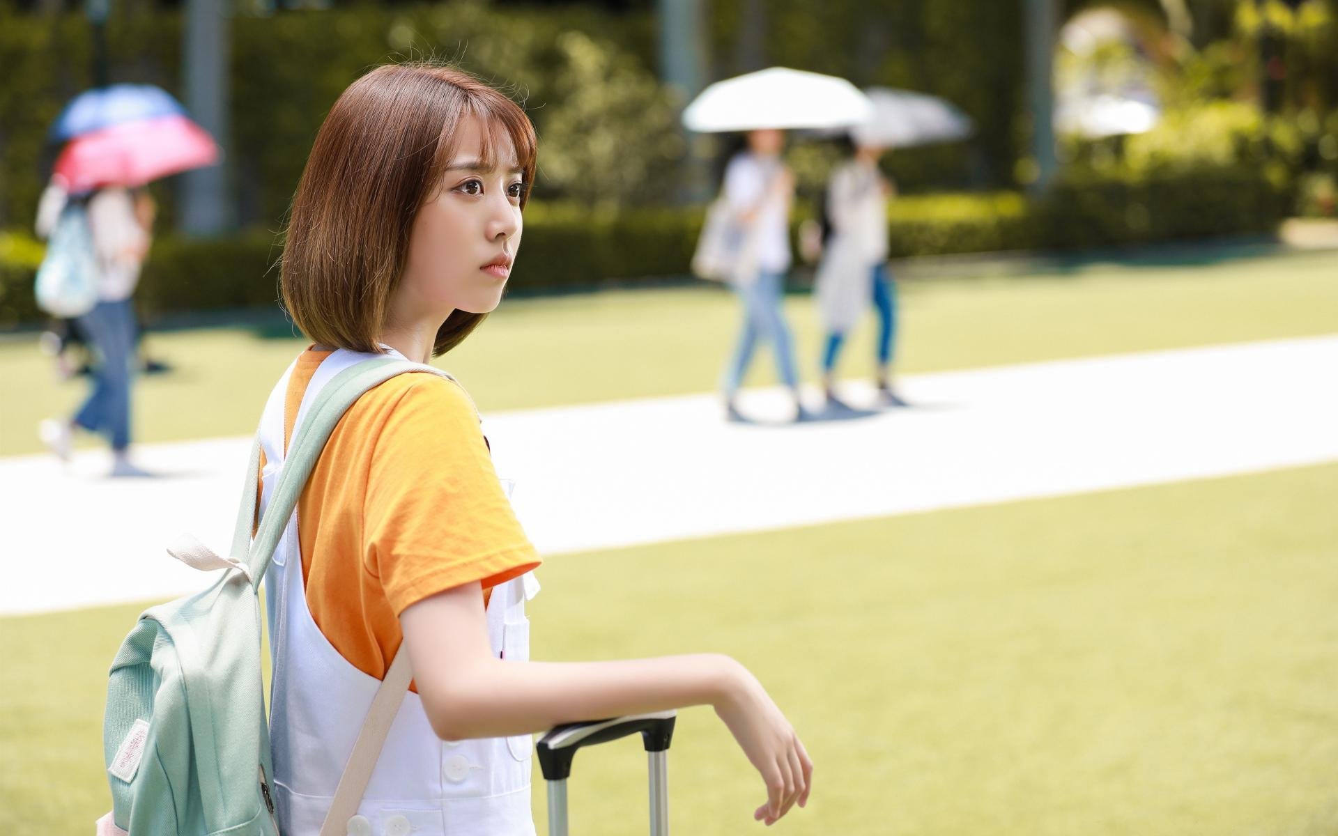 青少年足球人才库正式启动录入工作，青少年足球协会