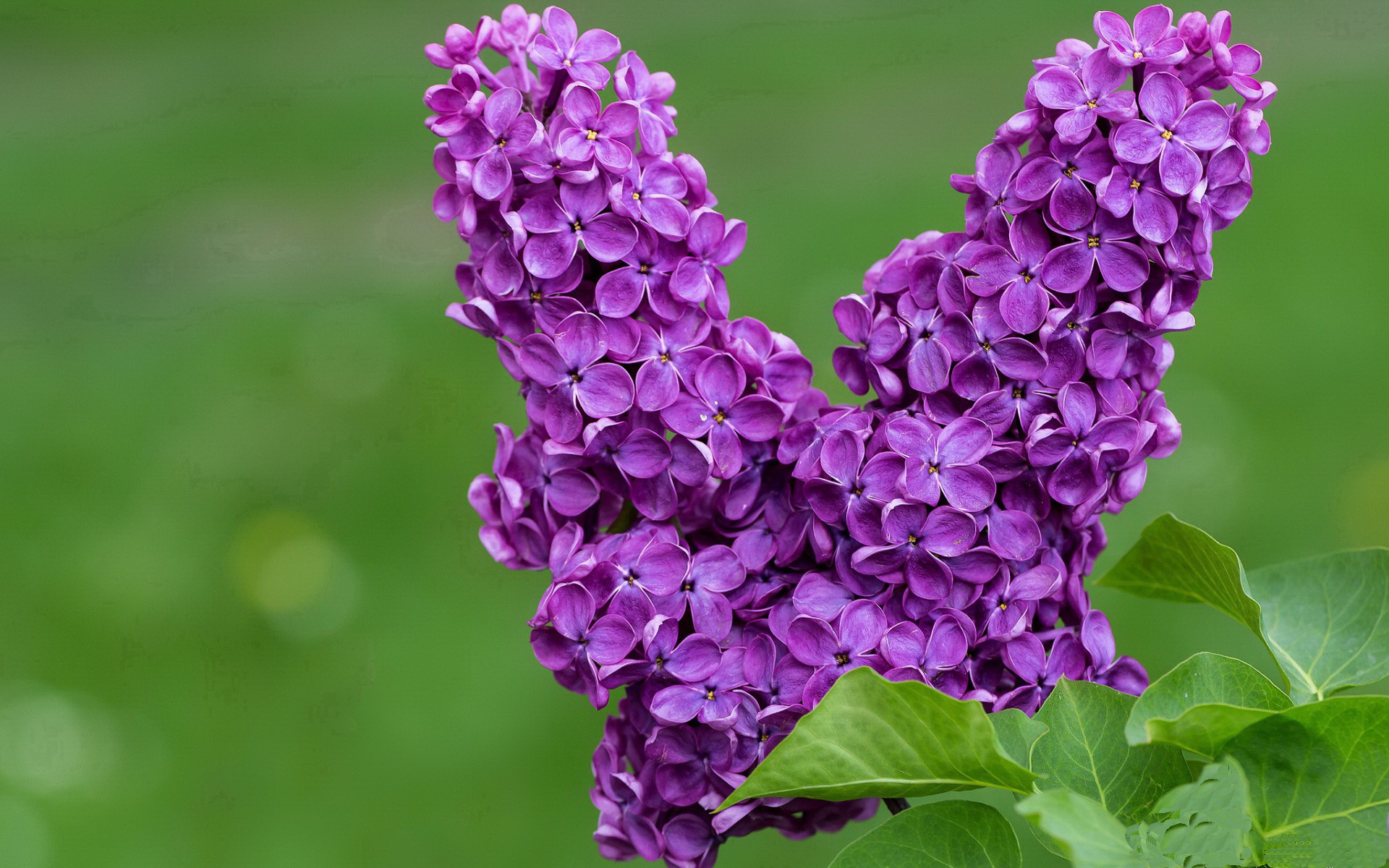 中卫推进是否能有效拉扯对手中场结构,中卫和中场的区别