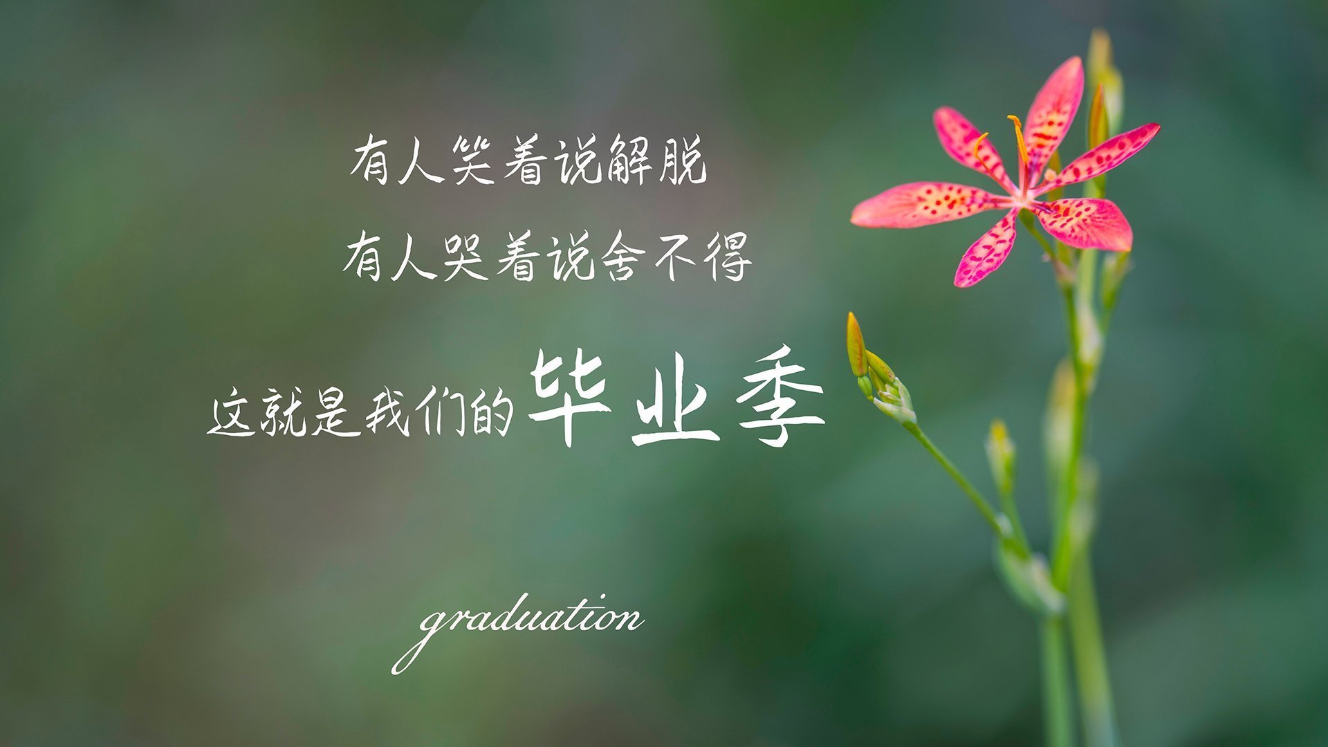 乐鱼娱乐app-五大联赛球队控球节奏与对手压力构成战术破防关键，球队控卫