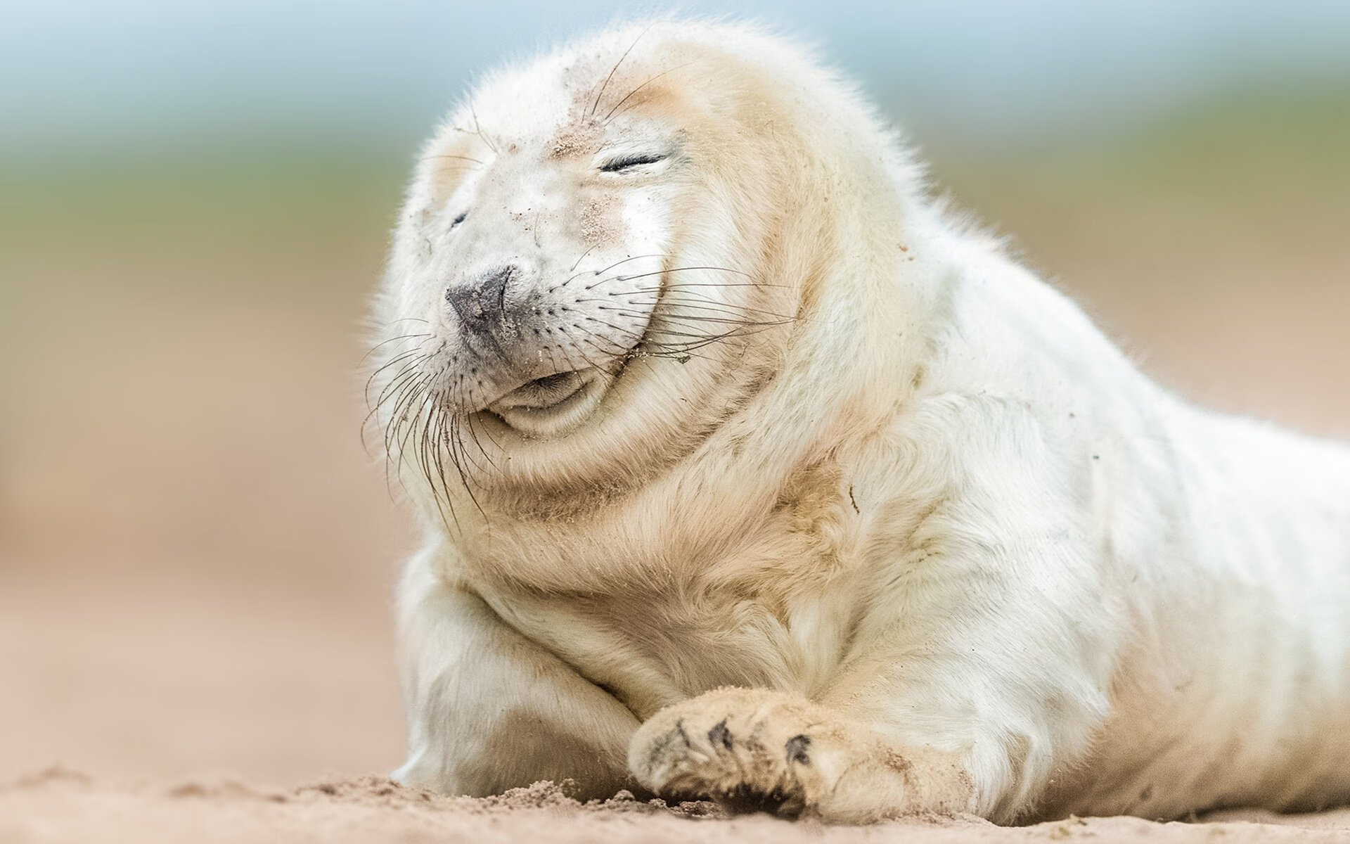 体育新闻中心发布体育大数据驱动内容创作报告，sportsdt体育大数据