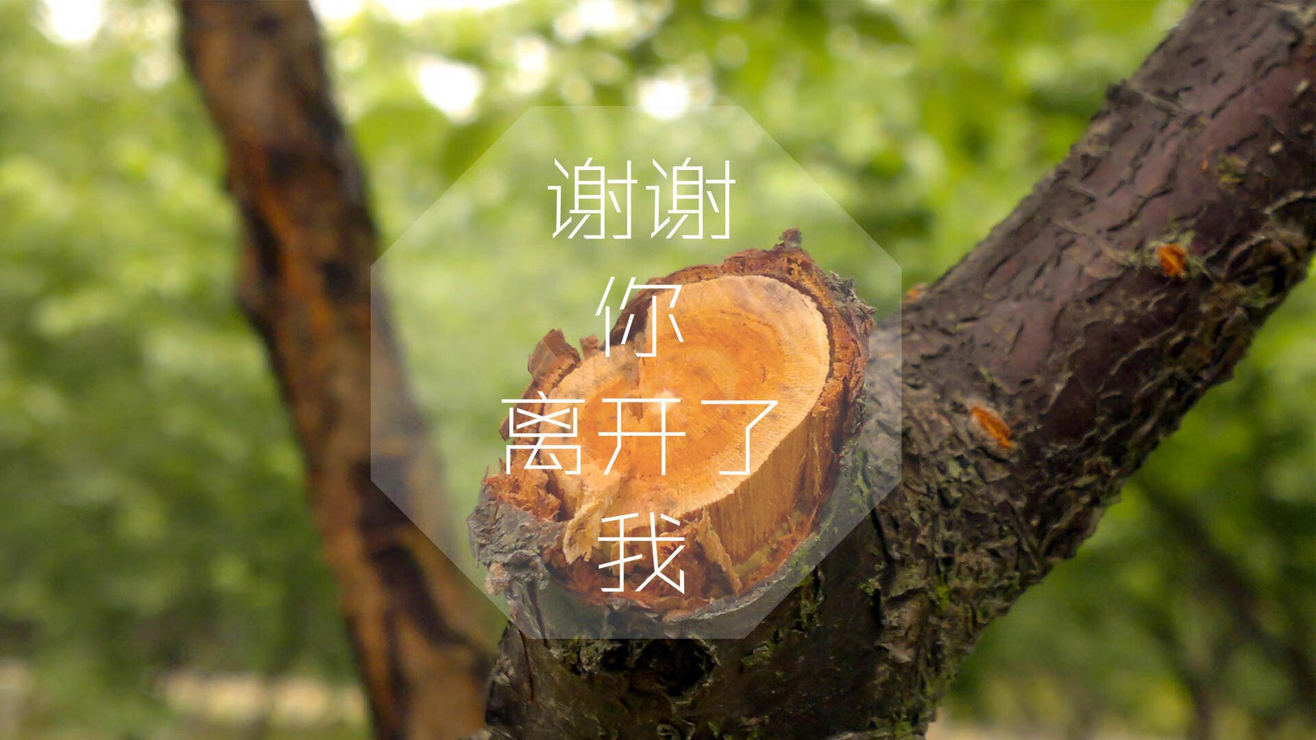 Leyu Sport下载-搏击项目发展论坛聚焦市场化与安全性，搏击俱乐部的市场定位