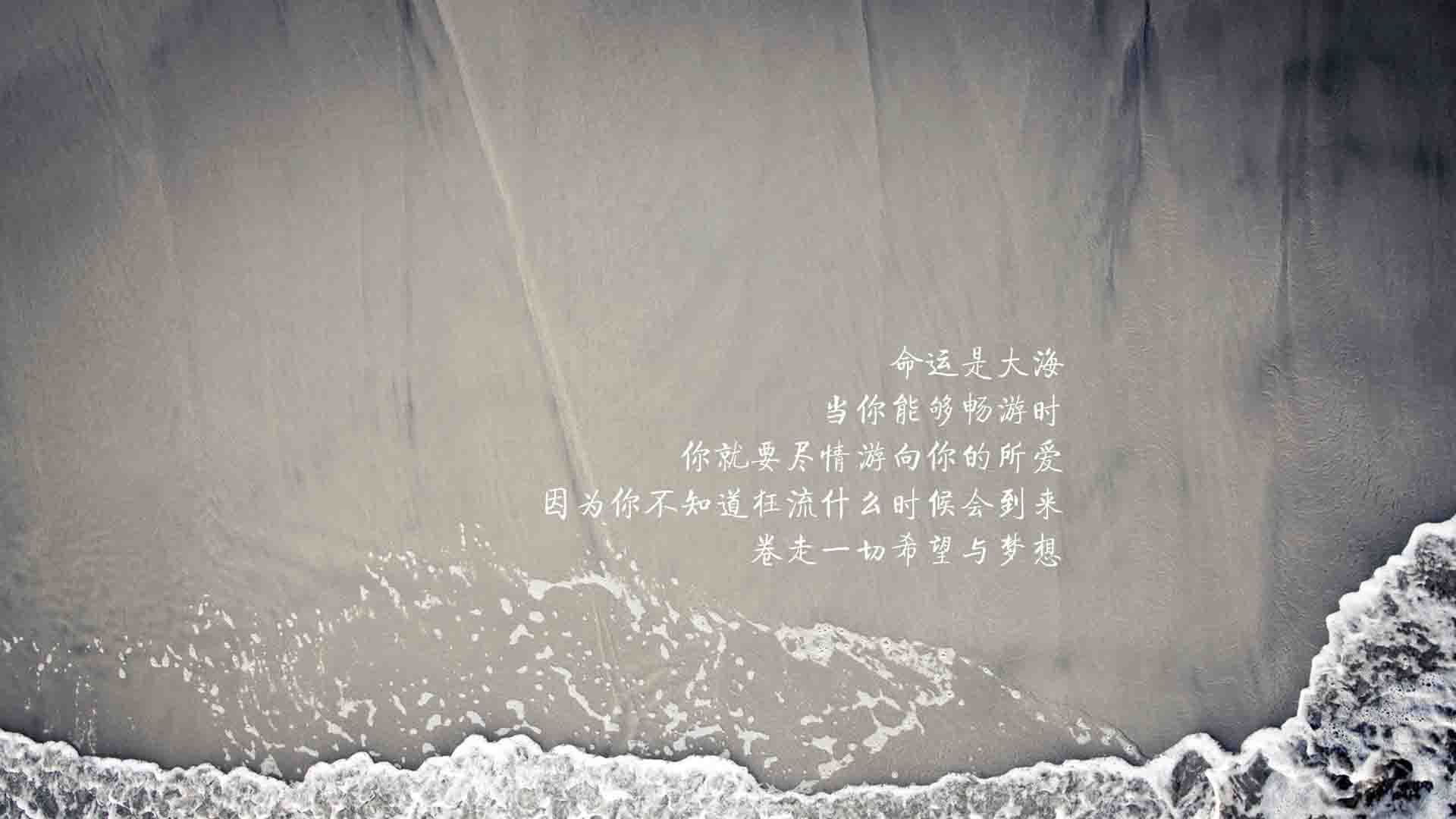 足球裁判培训班开班 聚焦视频辅助技术，足球裁判培训内容