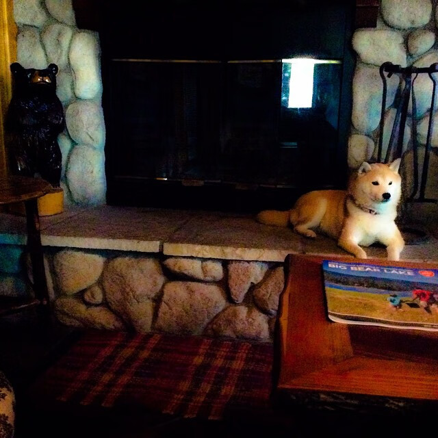 森林狼管理层明确提出进军季后赛目标,森林狼进季后赛对手