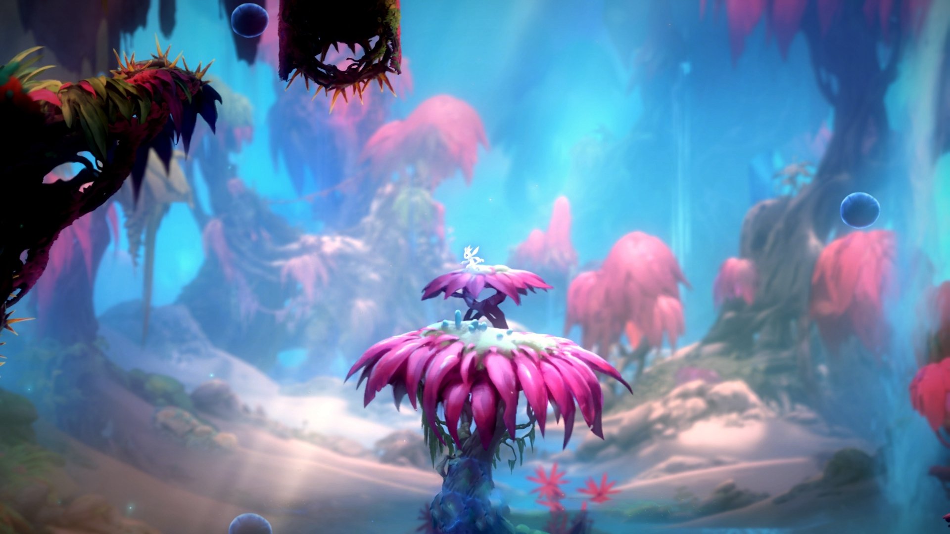 英格兰橄榄球注重环保赛事建设,英格兰橄榄球联赛