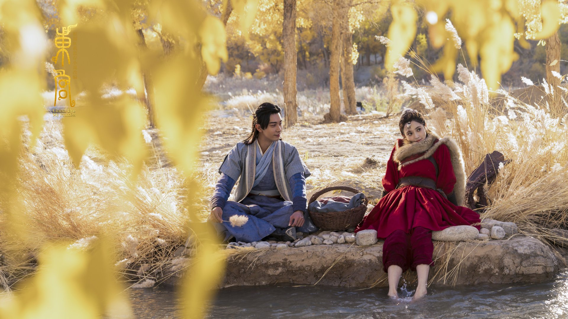 蛙泳技巧突尼斯女将精准掌控,女子蛙泳冠军视频欣赏