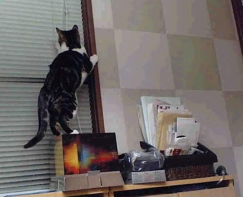 青少年篮球人才培养计划推动多层次发展体系完善,青少年篮球培训计划