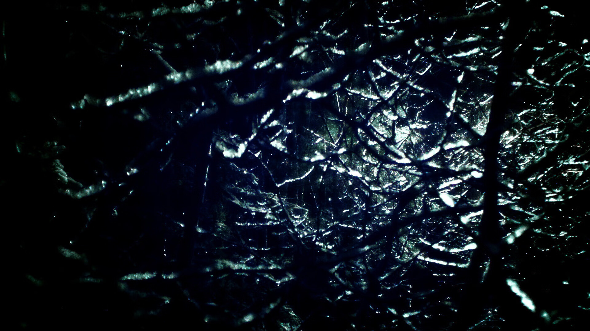 马术青少年训练计划全国推广,马术国家青少年队员名单