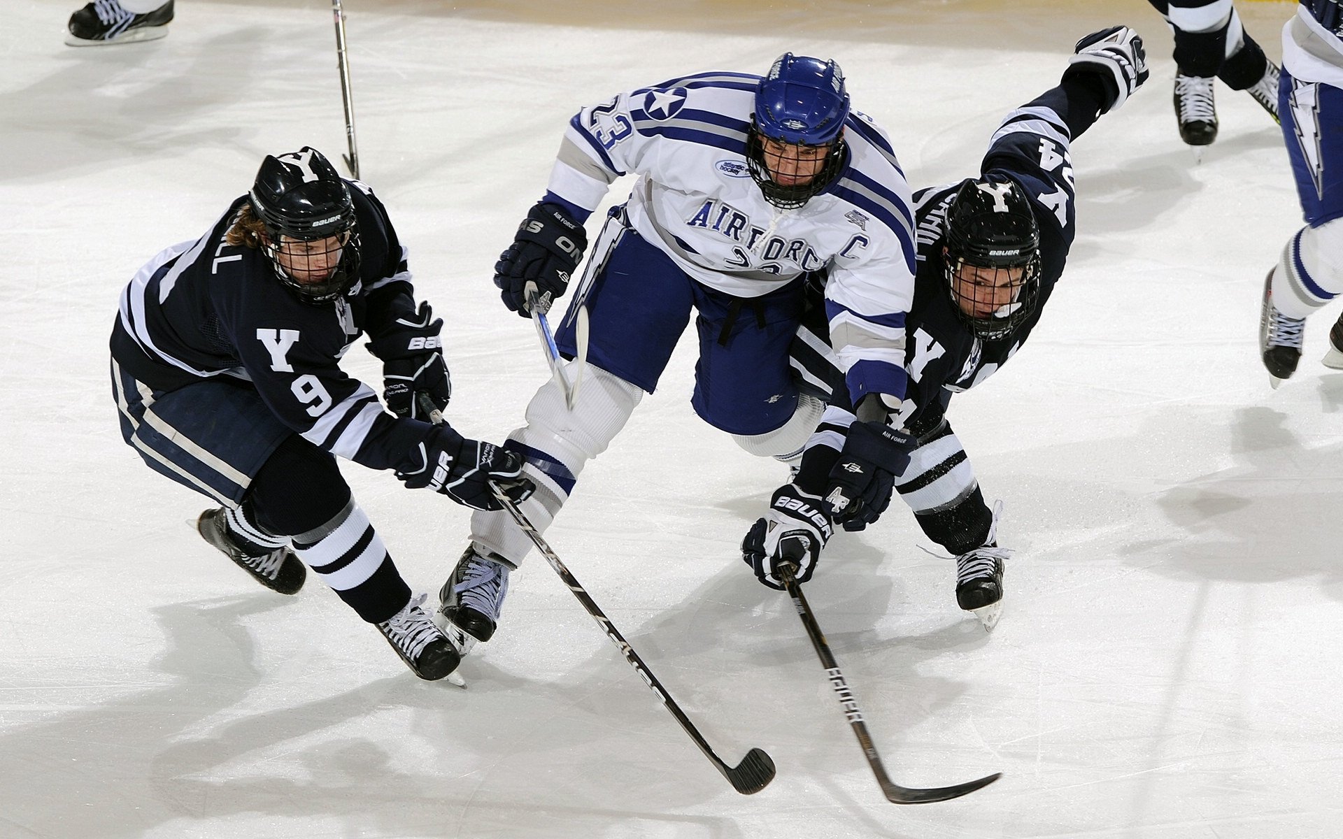 国际台球赛冠军争夺战白热化，台球世界冠军白鸽